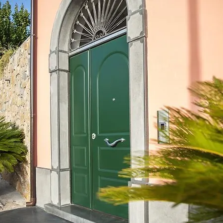 Gli Ulivi Di Eolo *